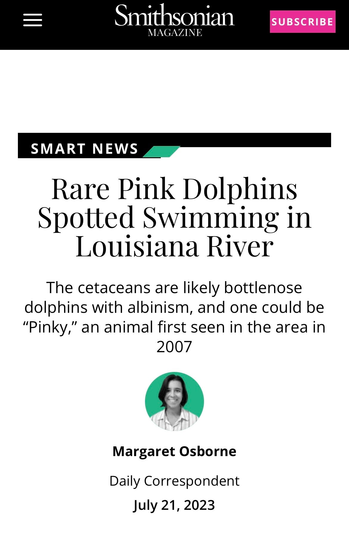 PINK DOLPHIN PAINTING Pinky and Pinkette the real pink dolphins in the Mississippi River. New Orleans artist, Paige DeBell 24”x29”