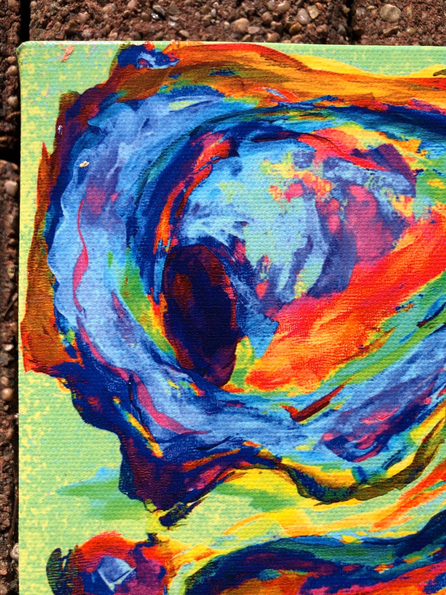 COLORFUL OYSTER PAINTING ** 8X8 Stretched Canvas Giclee of my original painting by New Orleans artist, Paige DeBell