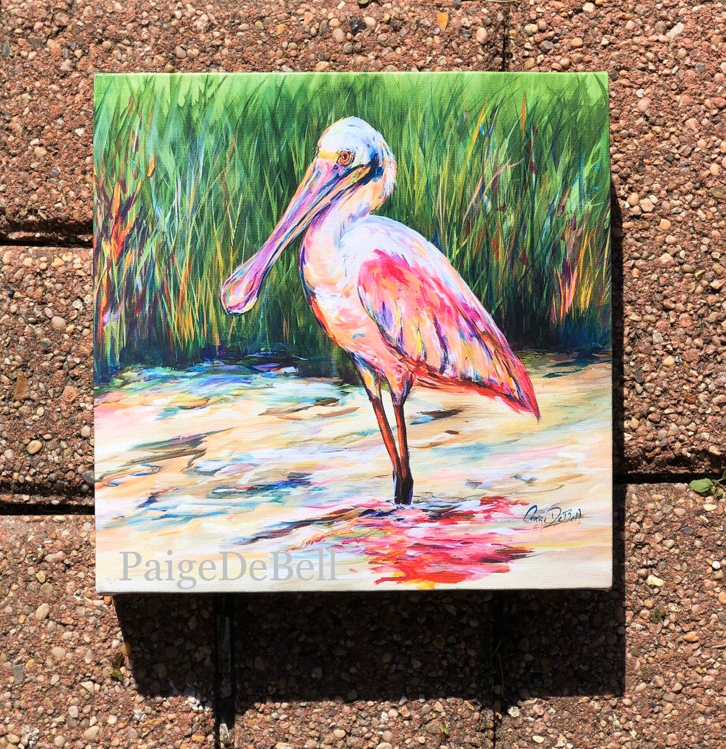 ROSEATE SPOONBILL ** 8x8 Stretched Canvas Giclee of Original by New Orleans artist Paige DeBell. Art on Architectural Salvage