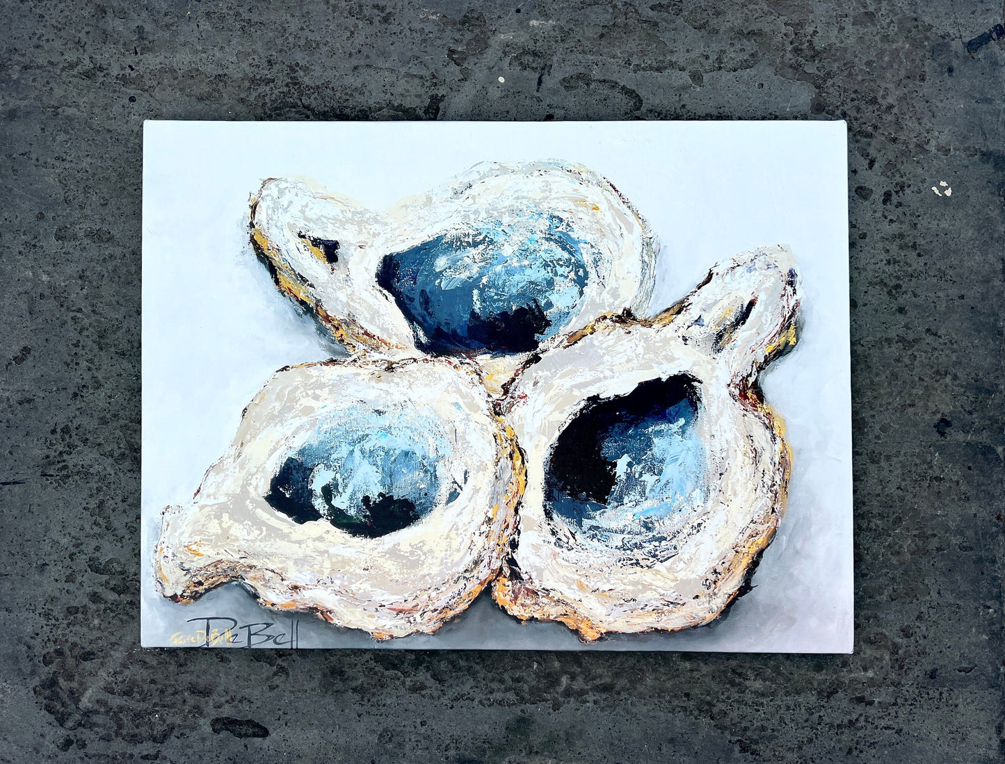 THREE OYSTER SHELLS**Gallery Wrapped Giclee 18" X 24" ** by Paige DeBell