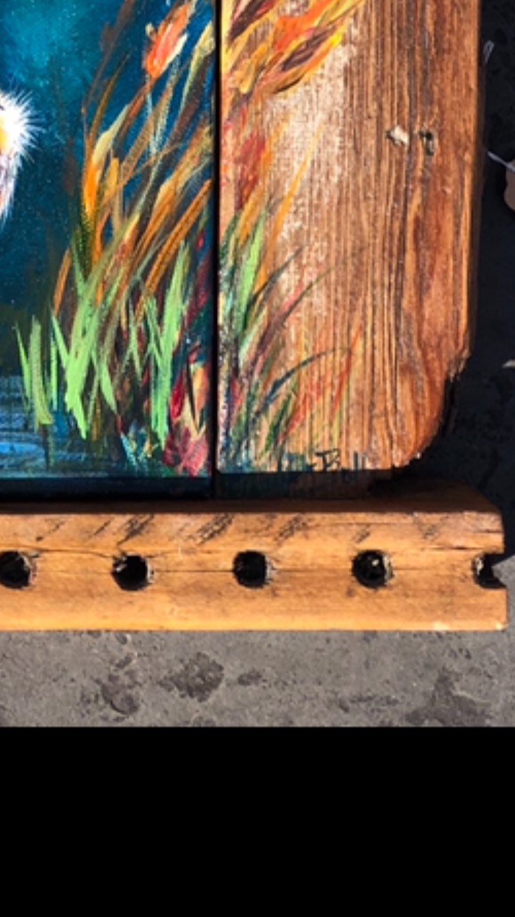 HUNGRY PELICAN Original Painting set in a Katrina Damaged Shutter by New Orleans artist, Paige DeBell  16 x 14 **Fine Art by Paige DeBell